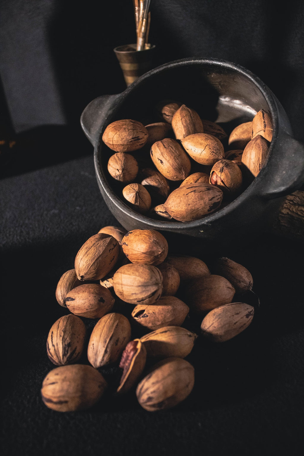 Les fruits à coque dans l'histoire : un voyage dans le temps à travers les noix et noisettes